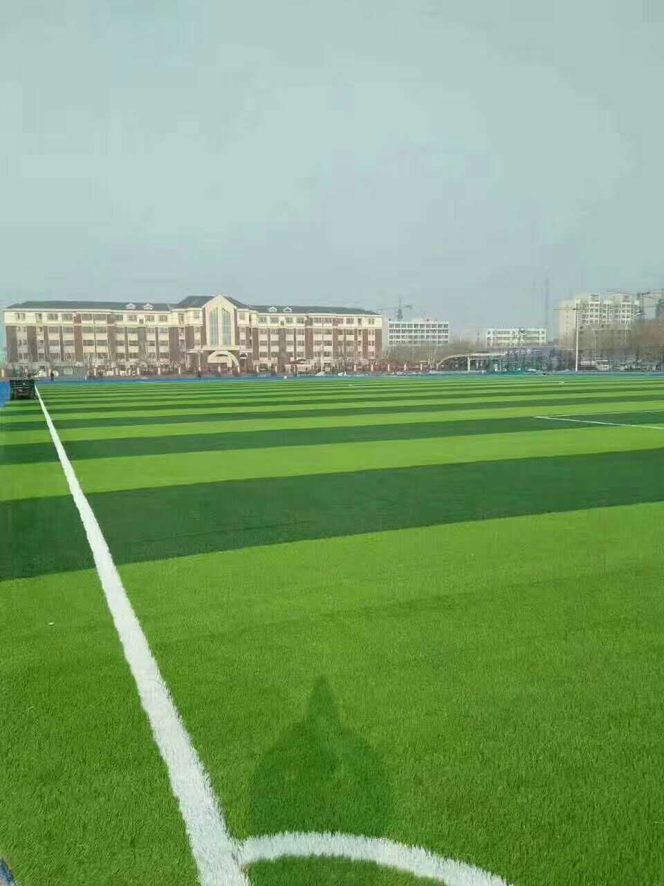 南通市epdm颗粒仿真草坪 - 价格